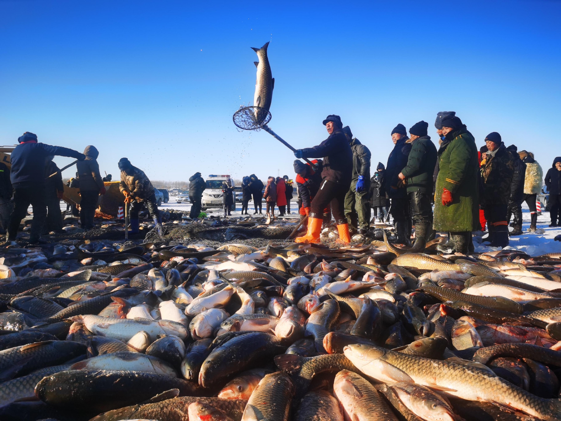 北京潤達T-100S高速塑封機助力查干湖冬捕冷鏈包裝工廠實錄！